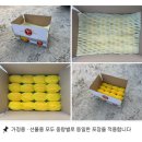 참달