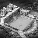 배봉초교 이미지