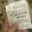 평창 휘닉스 워터파크 블루캐니언 주말 다녀온 후기