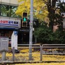 수카센타 이미지