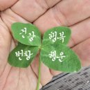크로버 - 속초시 중앙로147번길 16 | 크로버