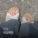 네일에땅 | 건대 네일샵 네일에땅 | 여름맞이 자석 패디 대만족 후기