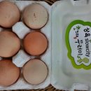 금장농장 이미지