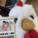 닭이랑전이랑 | 결혼식이벤트, 닭 날리기 이벤트 본식 후기 (꿀팁, 사회자 대본 공유)