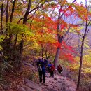 피아골단풍민박 이미지