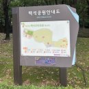 우장산근린공원 축구장 앞 | 고양시 일산 백석공원(백석근린공원) 강아지랑 새로 방문해 본 산책로 솔직후기