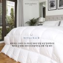 빌러벡 이미지