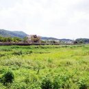 삼하리민박 네이버블로그