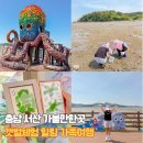 대야도어촌체험휴양마을 | 충남 서산 가볼만한곳 아이와 갯벌체험 왕산어촌체험휴양마을 놀거리