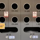 [25년 1분기]중장년을 위한 댄스스포츠 라틴댄스 | [공지] [상도동 헬스장] 운동이 달라지는 공간, 빅브로짐 상도점 소개⭐