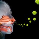 코와이비인후과의원 이미지