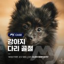 운정24시동물의료센터 이미지