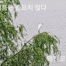 반포한강공원 체력단련장 농구장 네이버블로그
