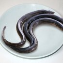 장어명가청산 광주점 이미지