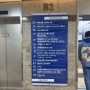 별과 소나무 | 경기도 어린이 뮤지컬 연극 광명 소나무극장 <빨간모자와 늑대> 내돈내산 솔직 관람 후기