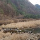 강림면312 이미지