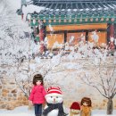 아이로아