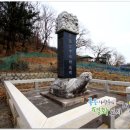 신호묘 이미지