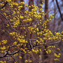 지리산털보농원 이미지