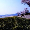 봄 - 달성군 현풍중앙로 87-1 | 봄