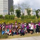 연세초등학교 이미지