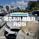 보도중로2-14 | 강아지랑 제주여행｜카모아에서 제주카카 렌트카 24시간 예약 후기