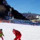 휘닉스파크 이미지