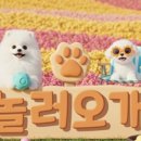 놀러오개 - 안양시 만안구 경수대로 1234 | 놀러오개