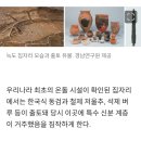경남 사천 늑도 이미지