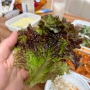 세븐일레븐 강릉포남택지점 | 강릉 택지맛집 연탄 불고기 밥 한그릇 뚝딱한 십원집 교동점 포장 후기