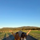 호수별 | 별 쏟아지는 브리즈번! 무게라 호수 은하수 투어 내돈내산 후기 (사진+BBQ+인생샷)