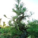 한솔농원 이미지