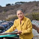 마이골발효식품 이미지