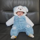 리틀베베 포맘스 바운서 대여 및 조기반납 내돈내산 후기