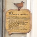 항남모텔 | 9년 차 커플의 통영 여행기 1일차 강구안 동피랑 중앙시장 다찌 꿀빵 그리고 긴 글, 사진 주의