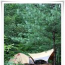 통고산자연휴양림 이미지