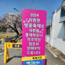 미원천 | [ 충청북도 청주 ] 미원천 (미원천 벚꽃 놀이)