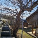 최윤덕부조묘 이미지