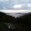 진실농장 이미지