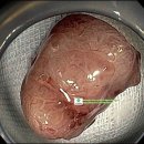 박재호내과의원 이미지