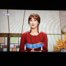 세일매점 이미지