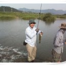 청도천6 이미지