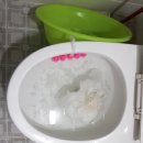 백조의호수크린 이미지