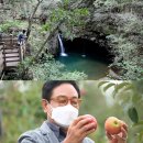 김영철농장 이미지