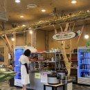 육하원칙신방점 이미지