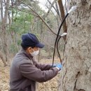 신평마을 이미지