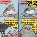 유명갈매기 이미지