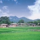 외암마을 이미지