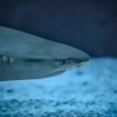 후정해수욕장 이미지