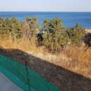 남정면사무소 이미지